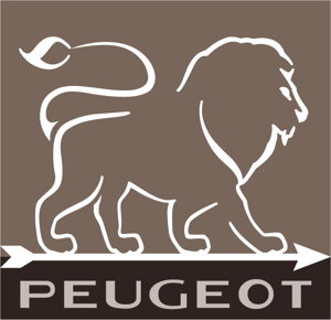 Elektrický mlynček na korenie a soľ PEUGEOT  18cm